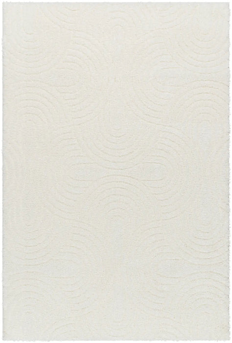 RUNA Shaggy Modern Plush Pile Light Beige/Ivory Rug
