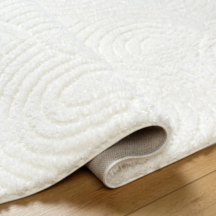 RUNA Shaggy Modern Plush Pile Light Beige/Ivory Rug