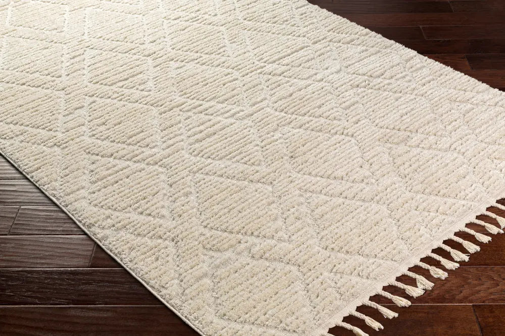 JASMINE Berber High Pile Geometric Beige Rug