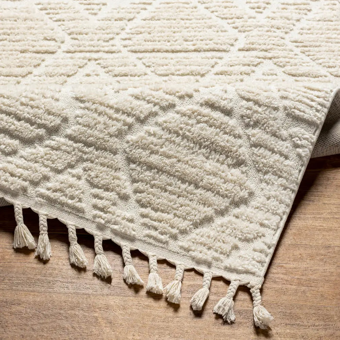 JASMINE Berber High Pile Geometric Beige Rug
