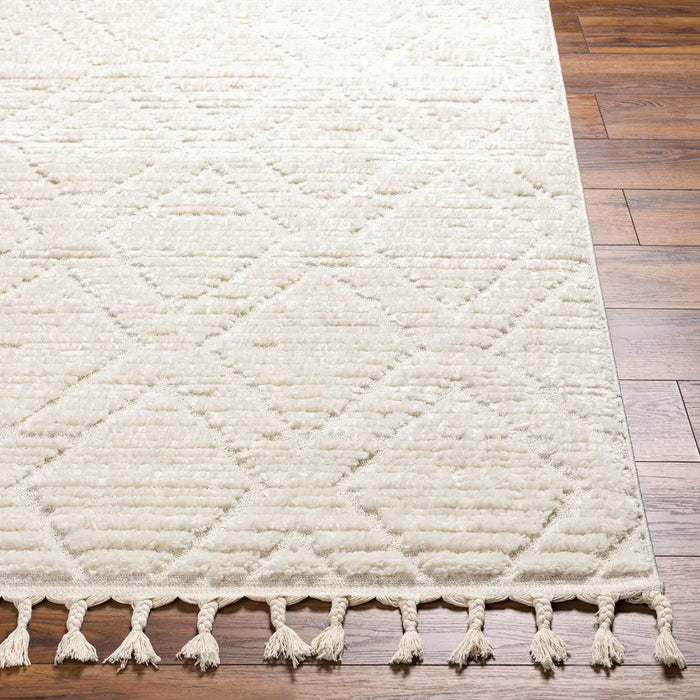 JASMINE Berber High Pile Geometric Beige Rug