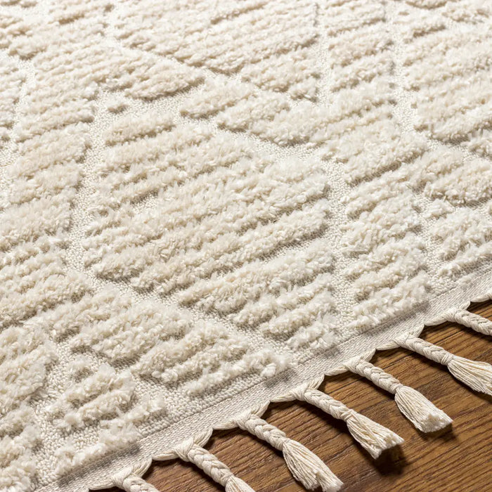 JASMINE Berber High Pile Geometric Beige Rug