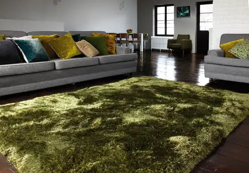 Asiatic plush green Green Living Room Shaggy Rug.
