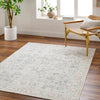 Olympic Our Pnw Home X Livabliss Vintage Oriental Boho Grey/Tan Rug