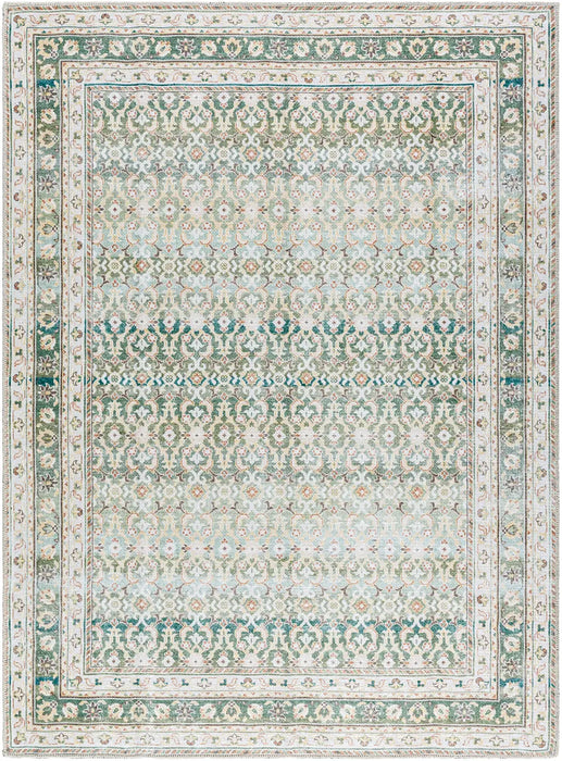 ARMITA Our PNW Home x Livabliss Machine Washable Oriental Boho Olive Rug