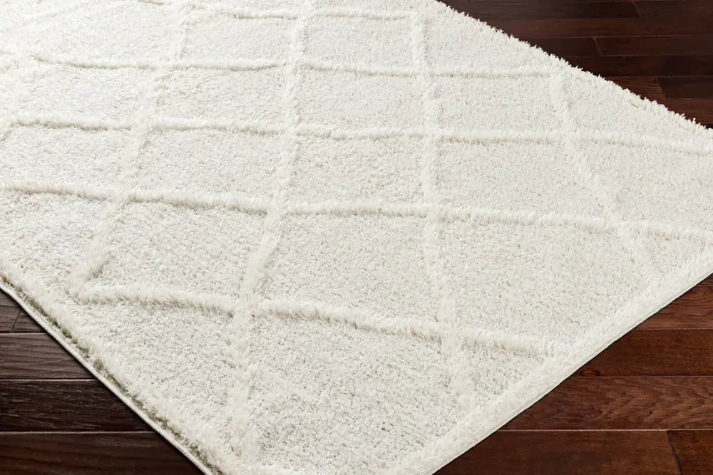 Sumaya Shaggy Modern Plush Pile Cream Rug