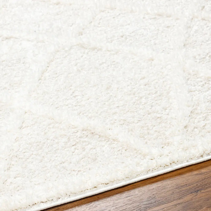 Sumaya Shaggy Modern Plush Pile Cream Rug