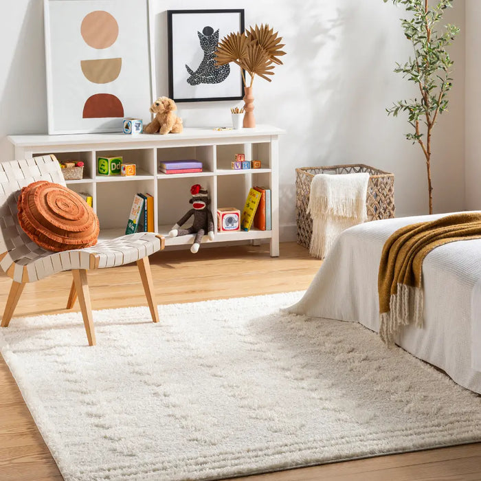 Elaheh Shaggy Modern Plush Pile Light Grey Rug