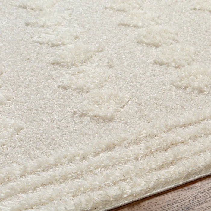 Elaheh Shaggy Modern Plush Pile Light Grey Rug