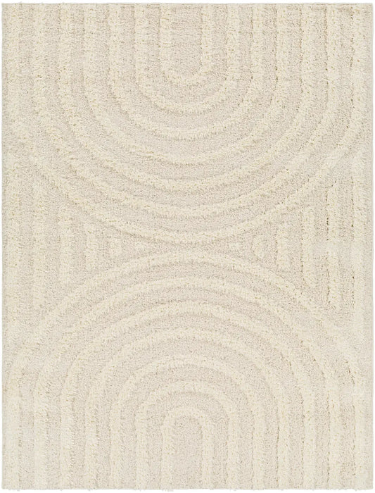 Marava Shaggy Modern Plush Pile Light Grey Rug