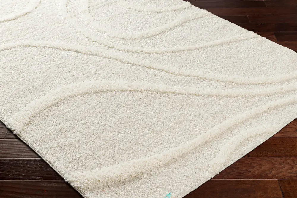 KOTIRA Shaggy Modern Plush Pile Beige Rug