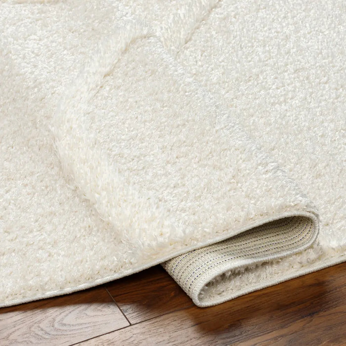 KOTIRA Shaggy Modern Plush Pile Beige Rug