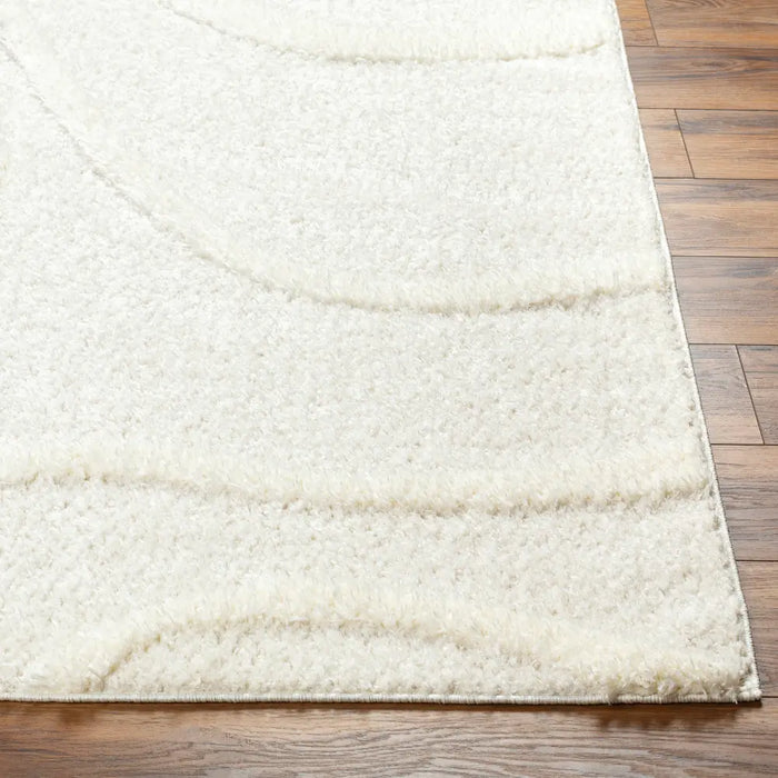 KOTIRA Shaggy Modern Plush Pile Beige Rug