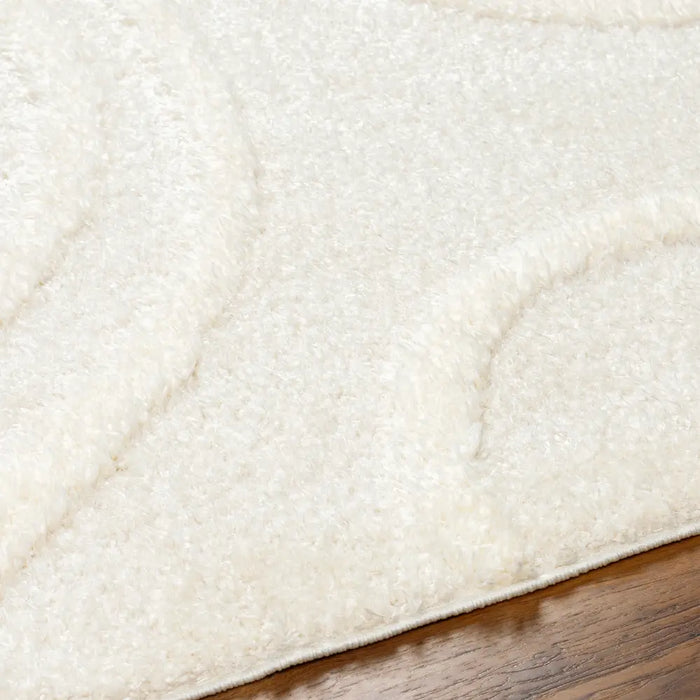 KOTIRA Shaggy Modern Plush Pile Beige Rug