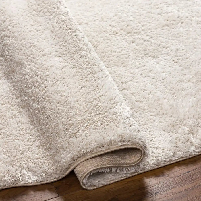 Surya claire 2301 beige Beige Living Room  Rug.
