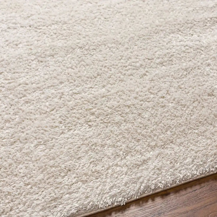 Surya claire 2301 beige Beige Living Room  Rug.