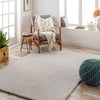 Surya claire 2301 beige Beige Living Room  Rug.