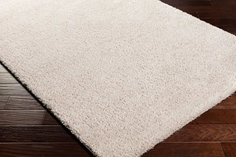 Surya claire 2301 beige Beige Living Room  Rug.