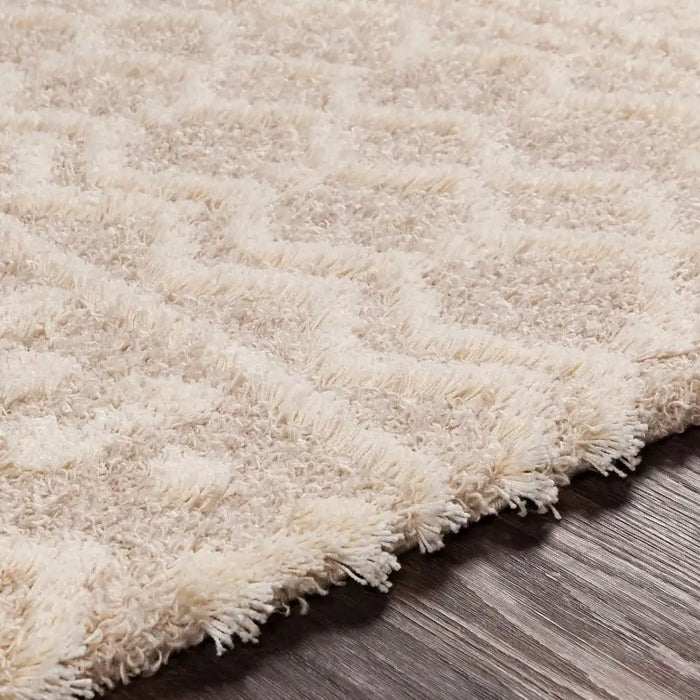 Surya nour 2303 beige Beige Living Room Geometric Rug.