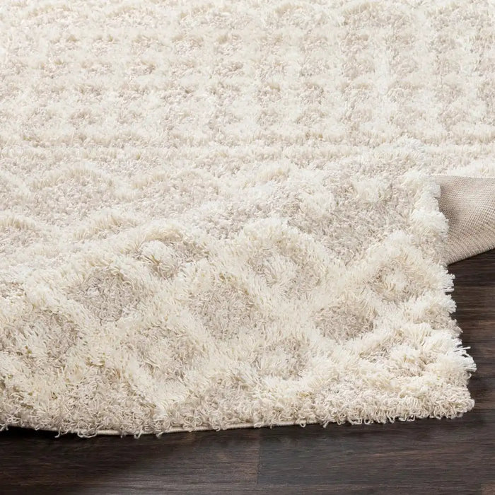 Surya nour 2303 beige Beige Living Room Geometric Rug.