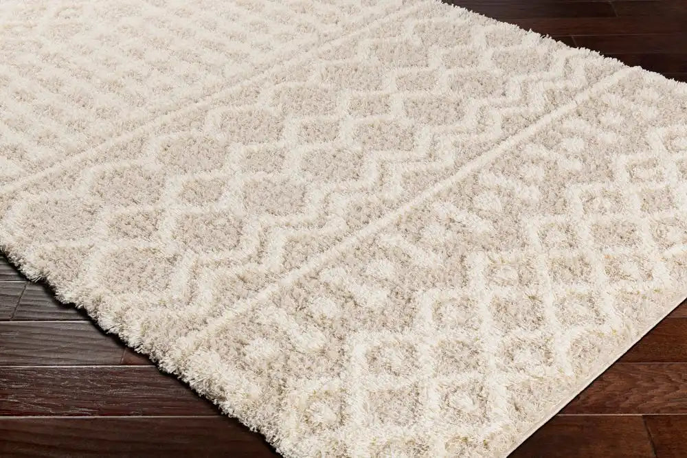 Surya nour 2303 beige Beige Living Room Geometric Rug.