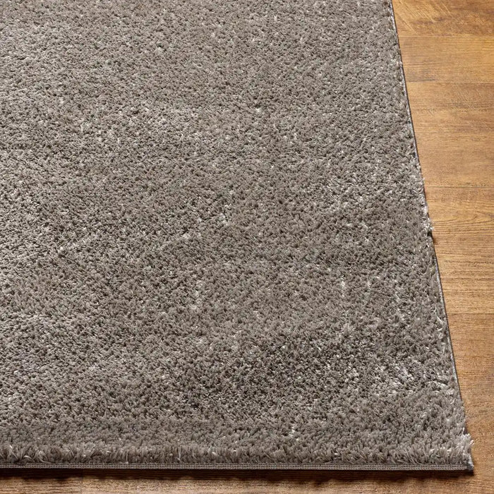 Surya claire 2304 grey Grey Living Room  Rug.