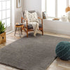 Surya claire 2304 grey Grey Living Room  Rug.