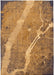 Louis de Poortere cities 9315 new york gatsby gold Brown Living Room  Rug.