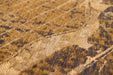 Louis de Poortere cities 9315 new york gatsby gold Brown Living Room  Rug.