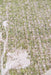 Louis de Poortere sakura 9372 sakura wet garden Green Living Room Floral Rug.