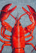 Louis de Poortere pop by louis 9389 lobster steam red Blue, Red Living Room Flat Weave Rug.