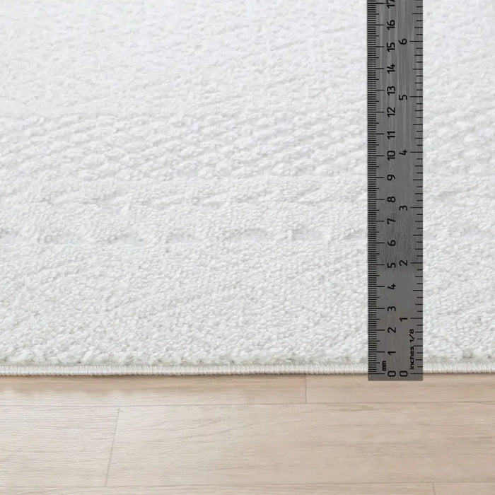 Surya feu ambre 2321 white Ivory Living Room  Rug.