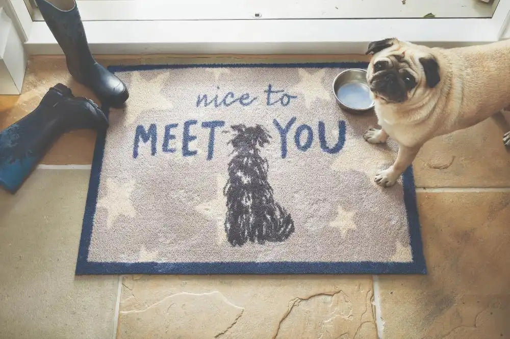 Hug Rug hug rug pet battersea meet you Multicoloured Kitchen  Doormat Rug.