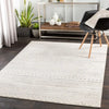 Surya pss bianca 2304 grey Cream Living Room  Rug.