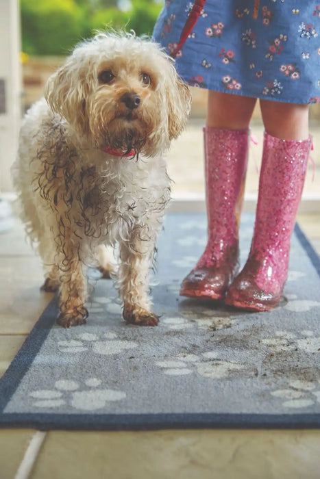 My Mats howler and scratch big paw 1 Grey Outdoor  Washable Rug.