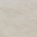 Asiatic blade border blade border putty charcoal 10 Grey, Ivory Living Room  Rug.