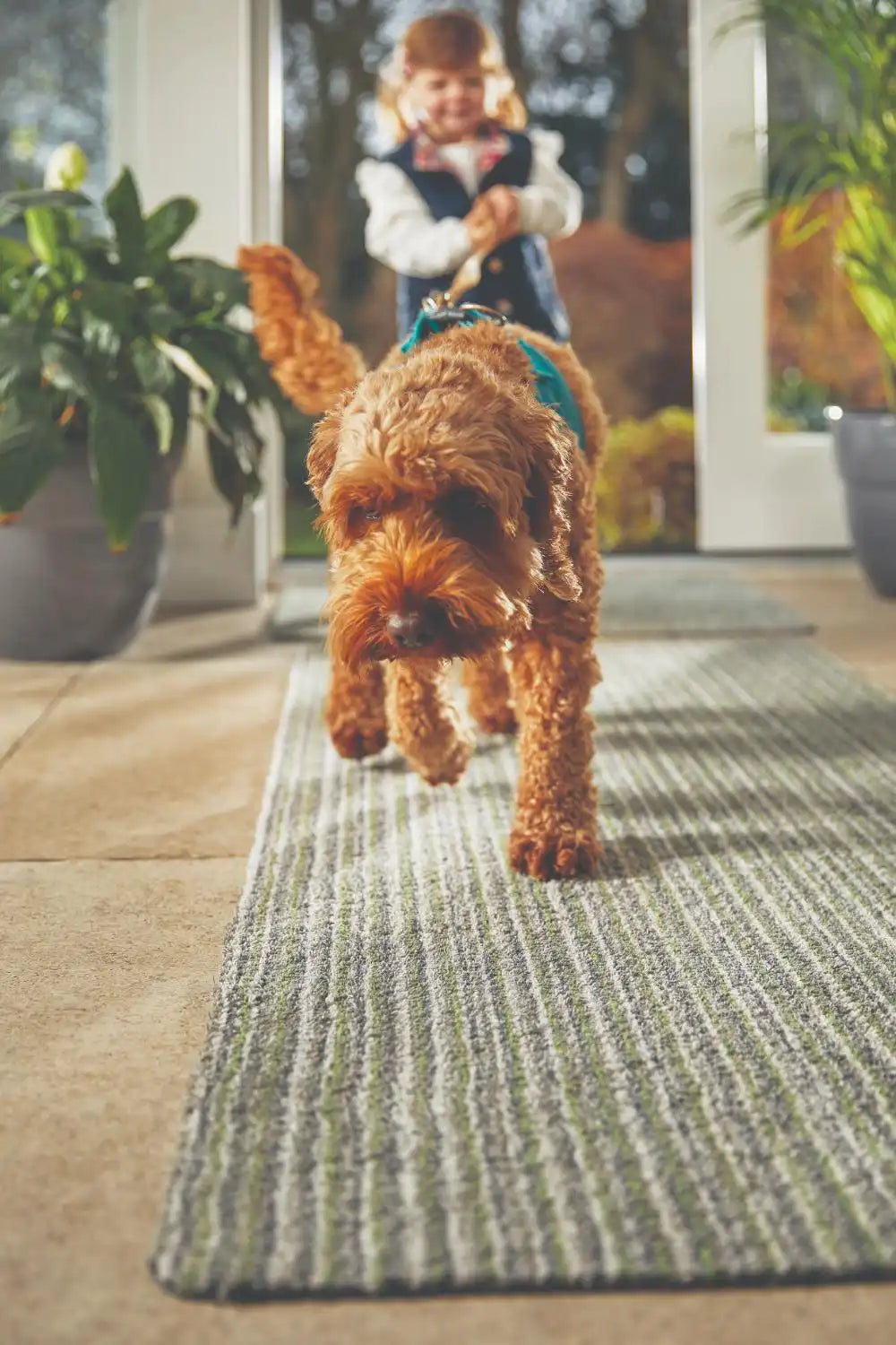Hug Rug Packaging Hug Plains Candy Green Green Rug — RugsDirect Online