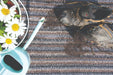 My Mats my mat cotton candy rock Multicoloured Outdoor  Washable Rug.