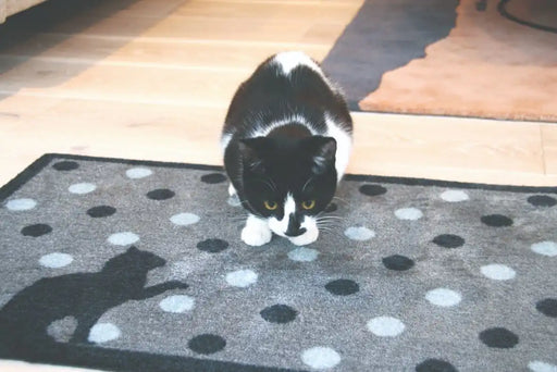 My Mats howler and scratch cat spot 1 Blue, Grey, Multicoloured Outdoor  Washable Rug.