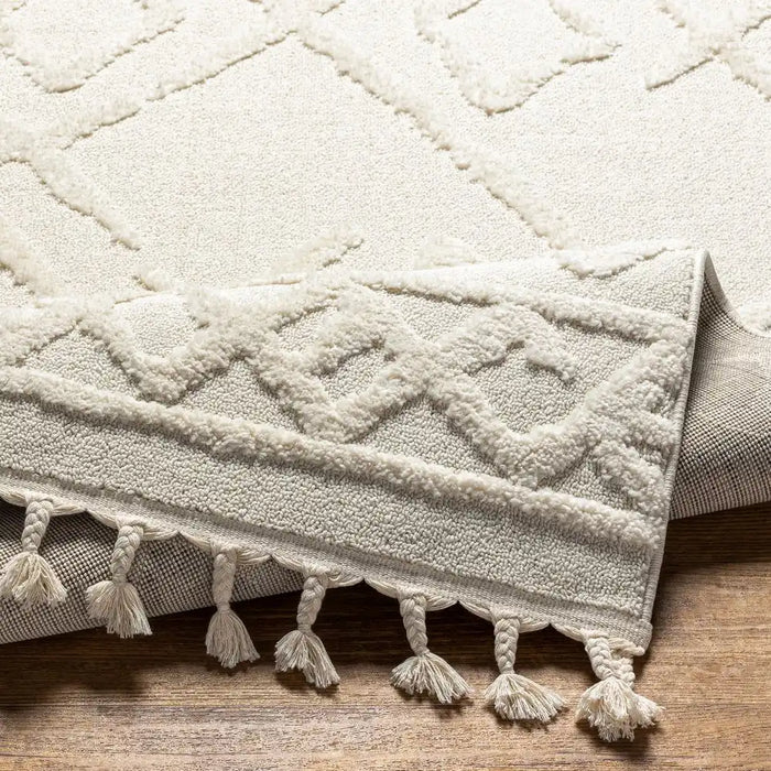 Surya noa elaine 2300 beige Beige Living Room  Rug.