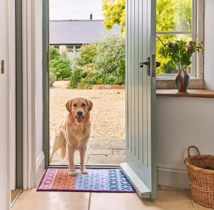 Turtle Mat turtle designs 5 flowerfields painterly Multicoloured Kitchen  Doormat Rug.