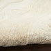 Nourison graceful gru01 ivory Ivory Living Room Wool Rug.