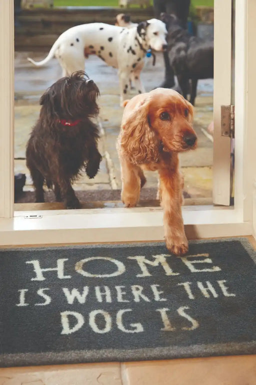 My Mats howler and scratch home 2 Grey, Multicoloured Outdoor  Washable Rug.