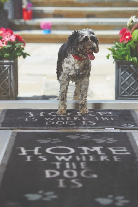My Mats howler and scratch home 2 Grey, Multicoloured Outdoor  Washable Rug.