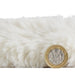 Think Rugs super teddy sheepskin ivory Ivory Living Room Shaggy Rug.