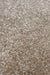 Homemaker relay latte Beige Living Room  Rug.