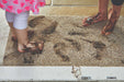 My Mats my mat cotton linen Beige Outdoor  Washable Rug.