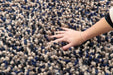 Origins rocks shaggy navy Blue, Navy Living Room Wool Rug.