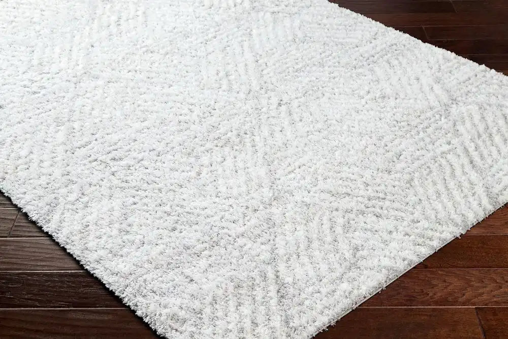Surya marina ophelia 2320 beige Beige Living Room Shaggy Rug.