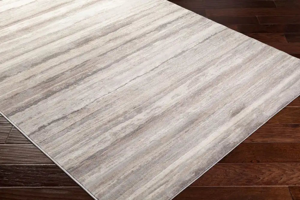 Surya rom pandora 2306 brown Beige Living Room  Rug.